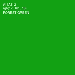 #11A112 - Forest Green Color Image