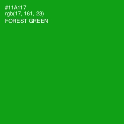 #11A117 - Forest Green Color Image