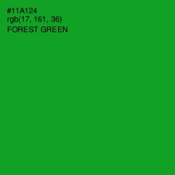 #11A124 - Forest Green Color Image