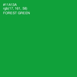 #11A13A - Forest Green Color Image