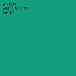 #11A17F - Jade Color Image