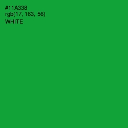 #11A338 - Forest Green Color Image