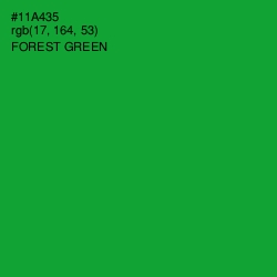 #11A435 - Forest Green Color Image