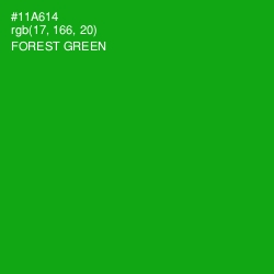 #11A614 - Forest Green Color Image