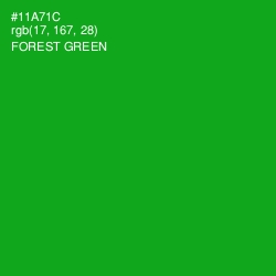 #11A71C - Forest Green Color Image