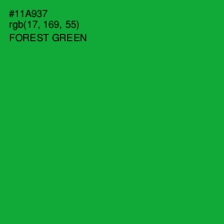 #11A937 - Forest Green Color Image