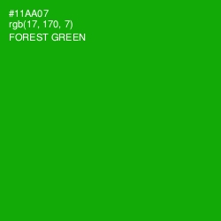 #11AA07 - Forest Green Color Image