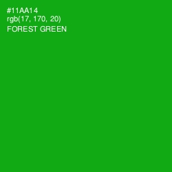 #11AA14 - Forest Green Color Image