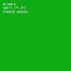 #11AB15 - Forest Green Color Image