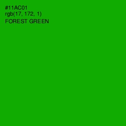 #11AC01 - Forest Green Color Image