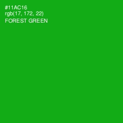 #11AC16 - Forest Green Color Image