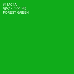 #11AC1A - Forest Green Color Image