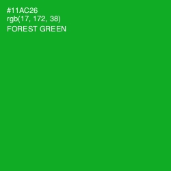 #11AC26 - Forest Green Color Image