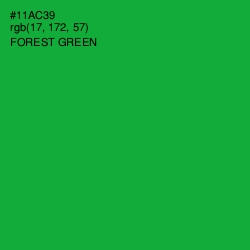 #11AC39 - Forest Green Color Image