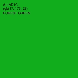 #11AD1C - Forest Green Color Image