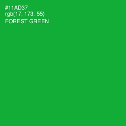 #11AD37 - Forest Green Color Image