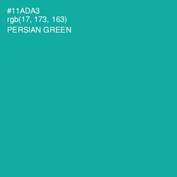 #11ADA3 - Persian Green Color Image