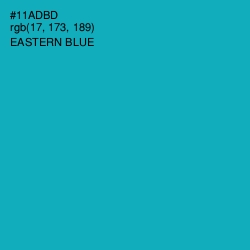 #11ADBD - Eastern Blue Color Image