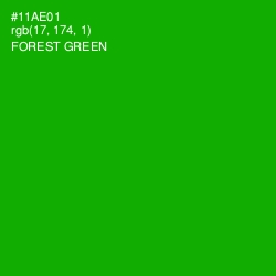 #11AE01 - Forest Green Color Image