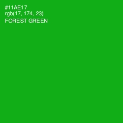 #11AE17 - Forest Green Color Image