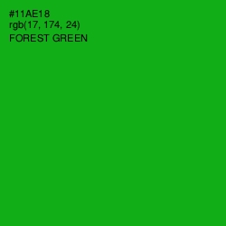 #11AE18 - Forest Green Color Image