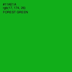 #11AE1A - Forest Green Color Image