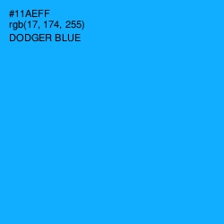 #11AEFF - Dodger Blue Color Image