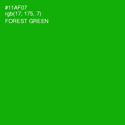 #11AF07 - Forest Green Color Image