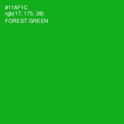 #11AF1C - Forest Green Color Image