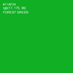 #11AF24 - Forest Green Color Image
