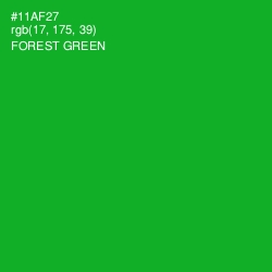 #11AF27 - Forest Green Color Image