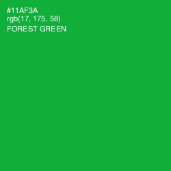 #11AF3A - Forest Green Color Image