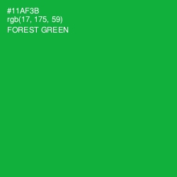 #11AF3B - Forest Green Color Image