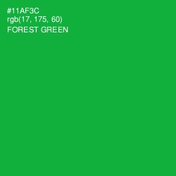 #11AF3C - Forest Green Color Image