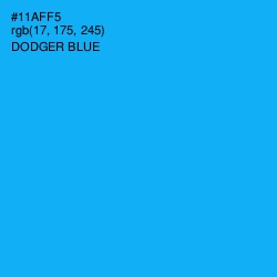 #11AFF5 - Dodger Blue Color Image