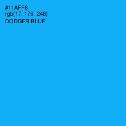 #11AFF8 - Dodger Blue Color Image