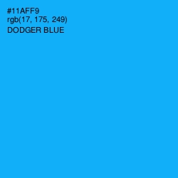 #11AFF9 - Dodger Blue Color Image
