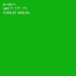 #11B111 - Forest Green Color Image