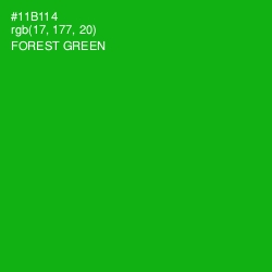 #11B114 - Forest Green Color Image