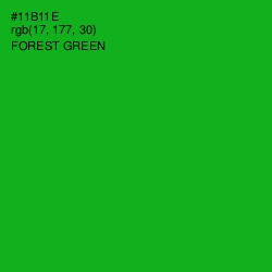 #11B11E - Forest Green Color Image