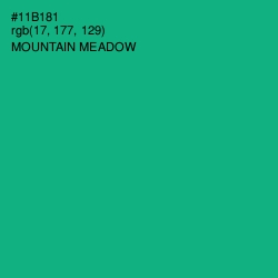 #11B181 - Mountain Meadow Color Image