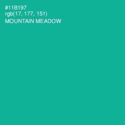 #11B197 - Mountain Meadow Color Image