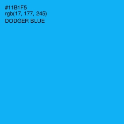 #11B1F5 - Dodger Blue Color Image