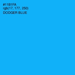 #11B1FA - Dodger Blue Color Image