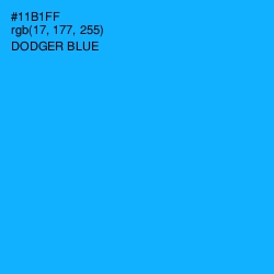 #11B1FF - Dodger Blue Color Image