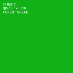 #11B217 - Forest Green Color Image