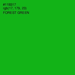 #11B317 - Forest Green Color Image