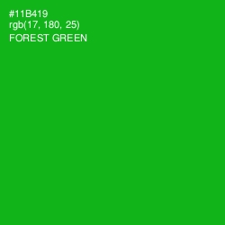#11B419 - Forest Green Color Image