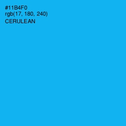 #11B4F0 - Cerulean Color Image