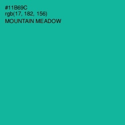 #11B69C - Mountain Meadow Color Image